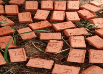 stop Excavating Soil For Burnt Bricks, Soil Scientist Warns