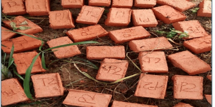 stop Excavating Soil For Burnt Bricks, Soil Scientist Warns