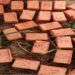 stop Excavating Soil For Burnt Bricks, Soil Scientist Warns