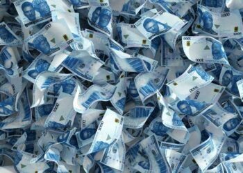 Opinion: AS THE LAW BARES FANGS AT NAIRA ABUSERS