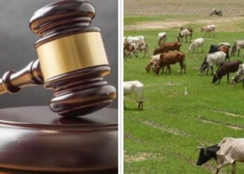 Group Raises Alarm Over Plans to Repeal Anti- Open Grazing Law                     