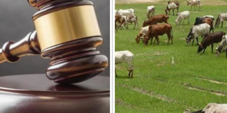 Group Raises Alarm Over Plans to Repeal Anti- Open Grazing Law