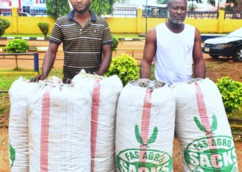 Police nabs suspected ilicit Drug dealer