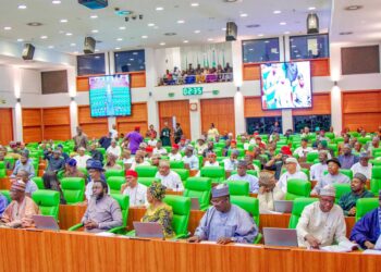 Reps to present N704.91m half-year salary donation to Tinubu Dec 31