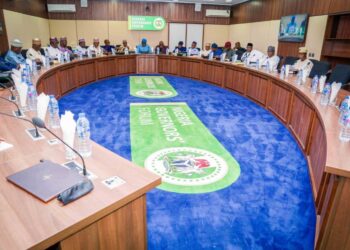 NEC resumes talks January, govs submit reports on state police