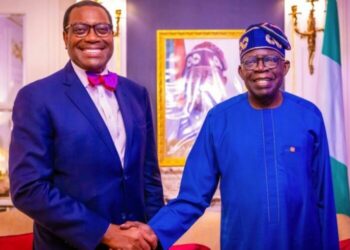 Power generation: FG secures $1.1bn AfDB loan to power 5m people by 2026