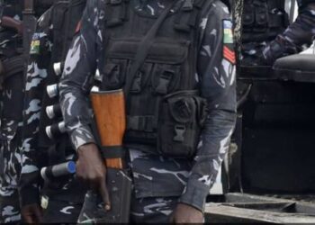 Fed Govt ministerial panel to enforce council autonomy