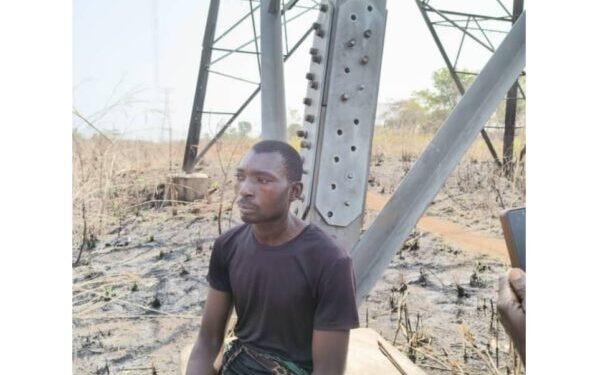Ugwuaji-Makurdi 330kV transmission line vandalised – TCN