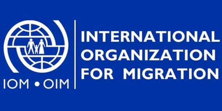 IOM rep attributes rising conflicts in Nigeria to population growth