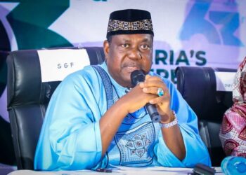 Fed Govt ministerial panel to enforce council autonomy