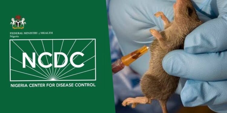 Lassa fever: NCDC records 506 cases, 95 deaths