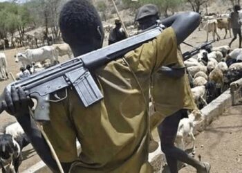 Insecurity: Herdsmen kill 144 in Plateau, Benue in 14 days