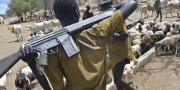 Insecurity: Herdsmen kill 144 in Plateau, Benue in 14 days