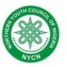 Northern youths condemn Plateau killings, demand action