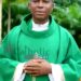 Suspected herdsmen shot catholic priest, abduct others in Benue
