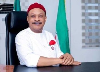 PDP reinstates Senator Anyanwu as National Secretary