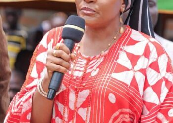 2027 ZONE B SENATE: MRS. ORTOM CONSULTS NONGOV NATION, RECEIVES BACKING
